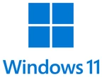 Windows 11